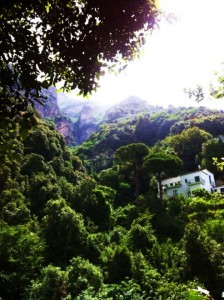 Looking up to the mountains